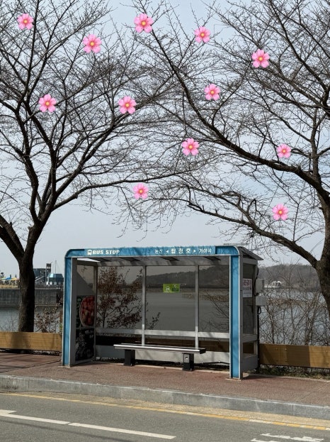 버쯔 이미지