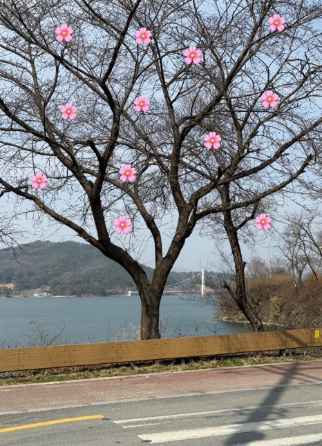 버쯔 이미지