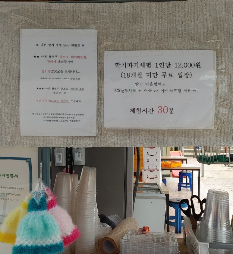 다은딸기 이미지
