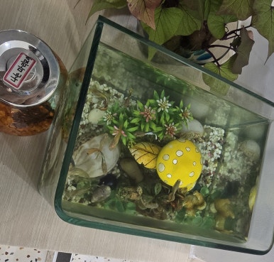 위 카페(weee cafe) 이미지