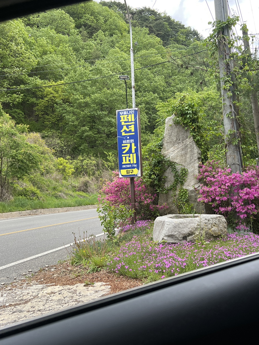 성주 무흘나인펜션: 강아지 동반 계곡 펜션 후기 — 사진 2