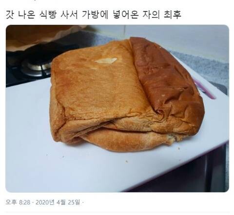 온:식빵 이미지