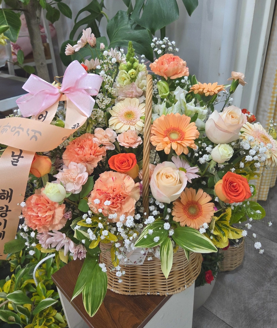 플로레리아 이미지