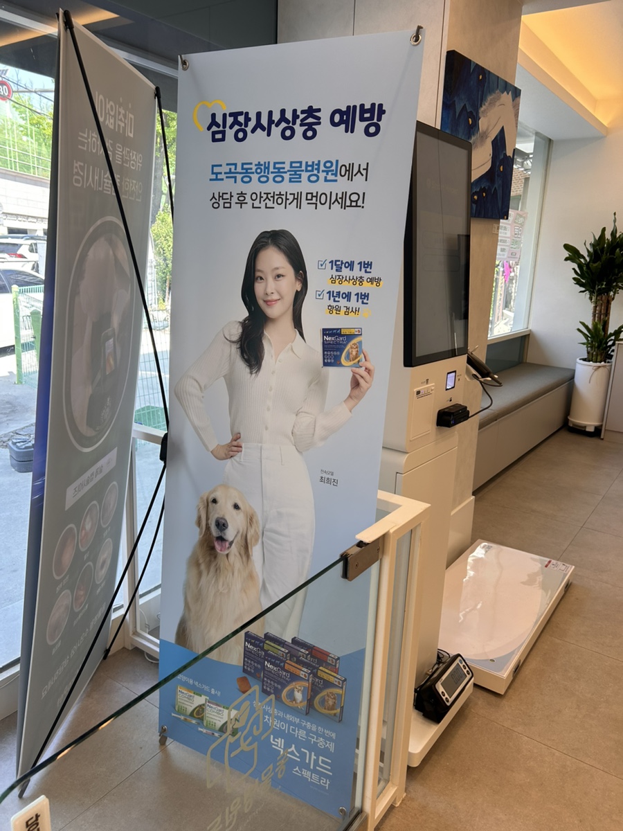 도곡동 강아지 미용 & 건강검진 후기 — 사진 5