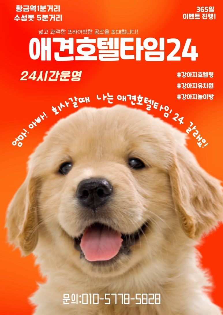 노티드대구빌리브헤리티지 이미지
