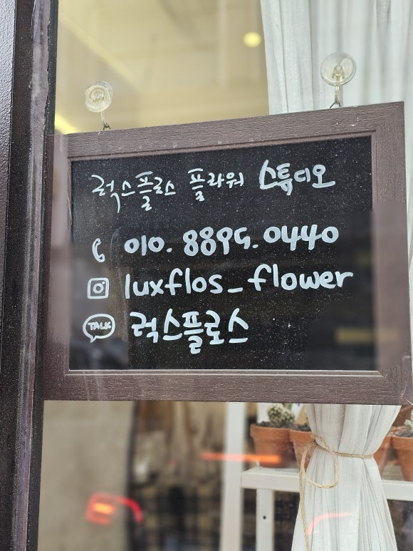 럭스플로스 이미지