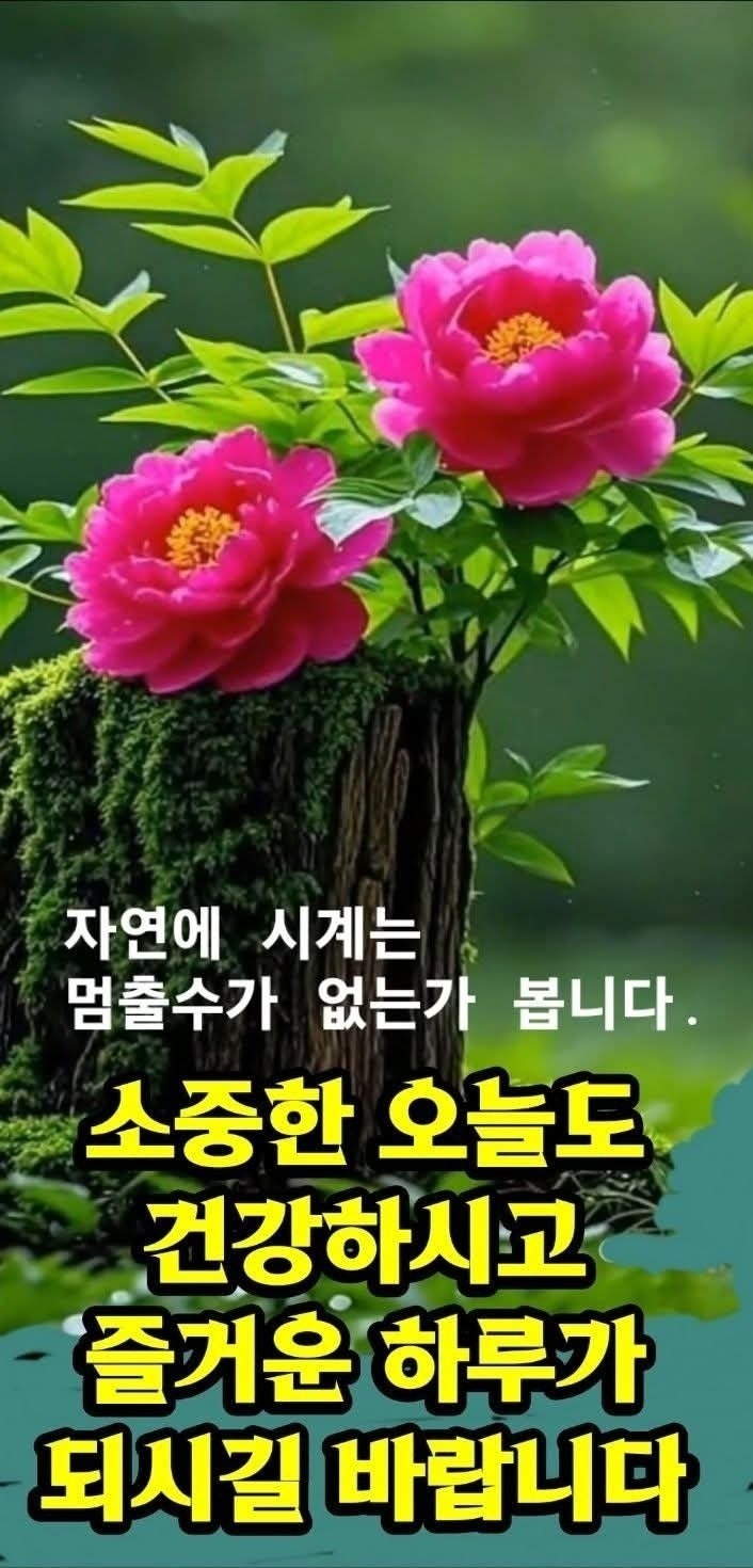 미덕 이미지