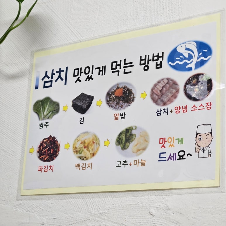 삼치회사랑 이미지