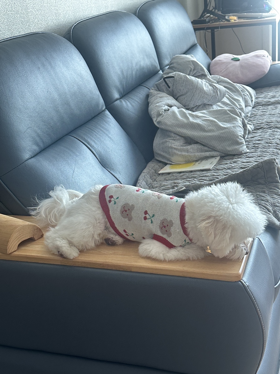 한삼순 이미지
