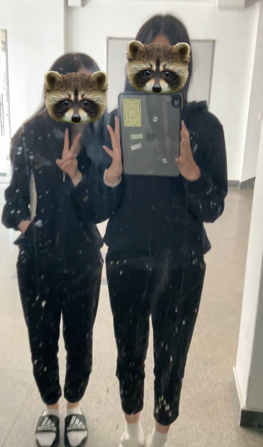사보레 이미지