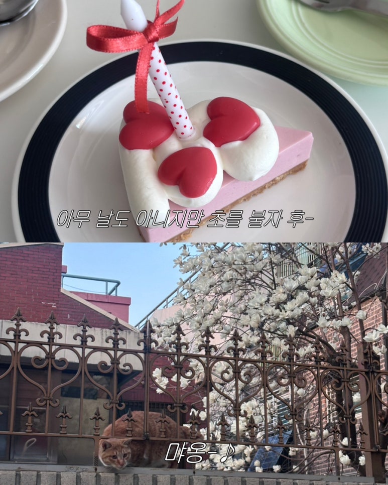 우리동네신발이야기 이미지