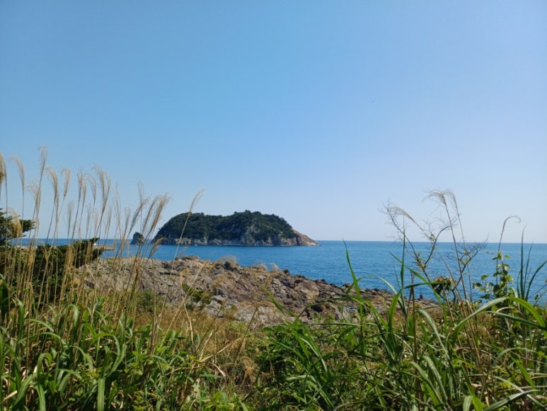 새섬다리 이미지