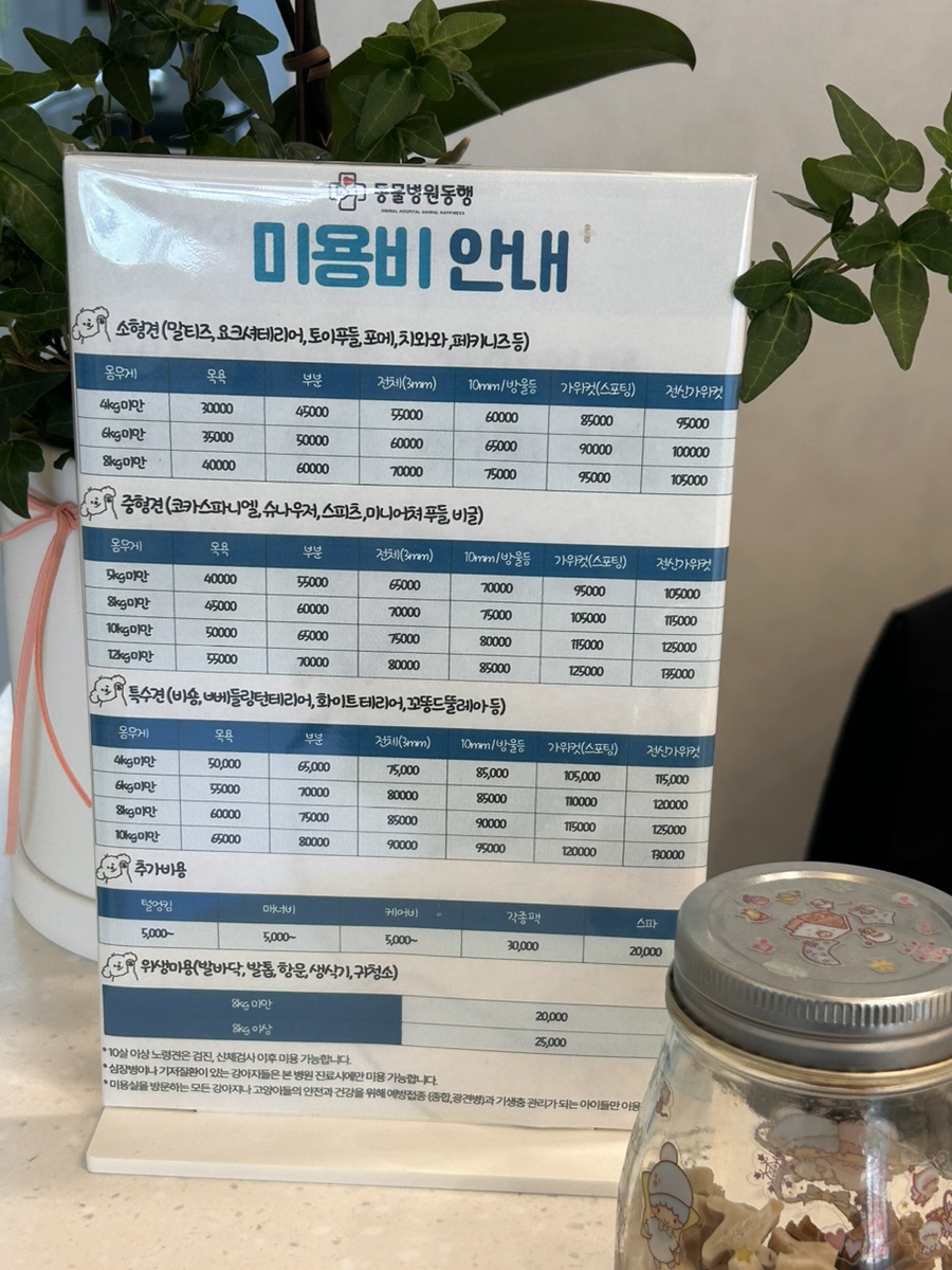 도곡동 강아지 미용 & 건강검진 후기 — 사진 6
