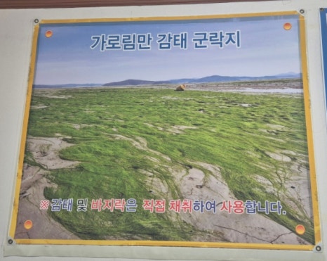 선창감태칼국수 이미지