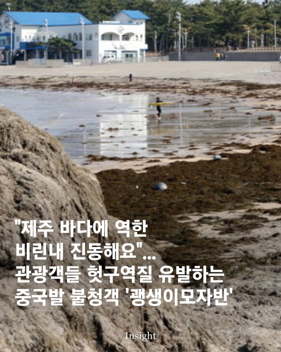 제주바다 이미지