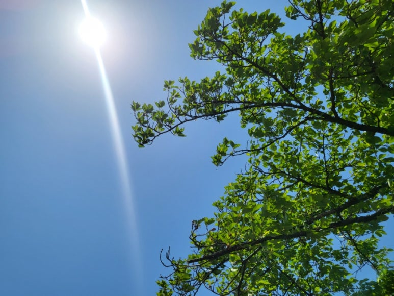 경주식당 이미지