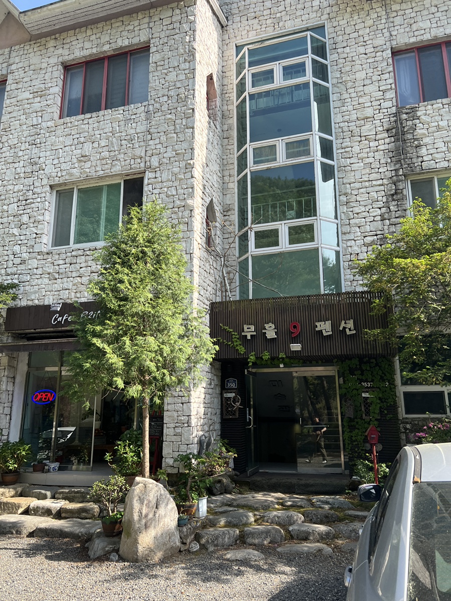성주 무흘나인펜션: 강아지 동반 계곡 펜션 후기 — 사진 3