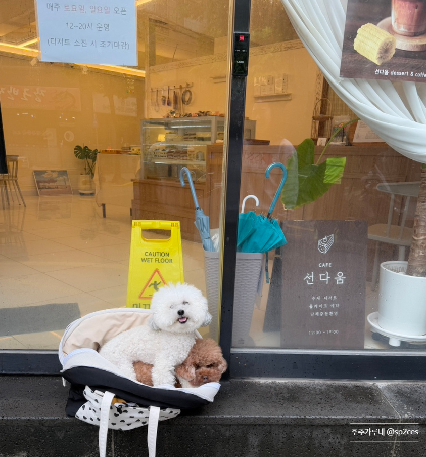 선다움 이미지