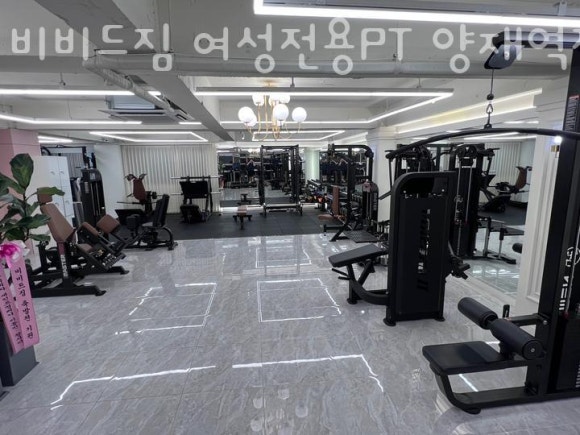 비비드짐 이미지