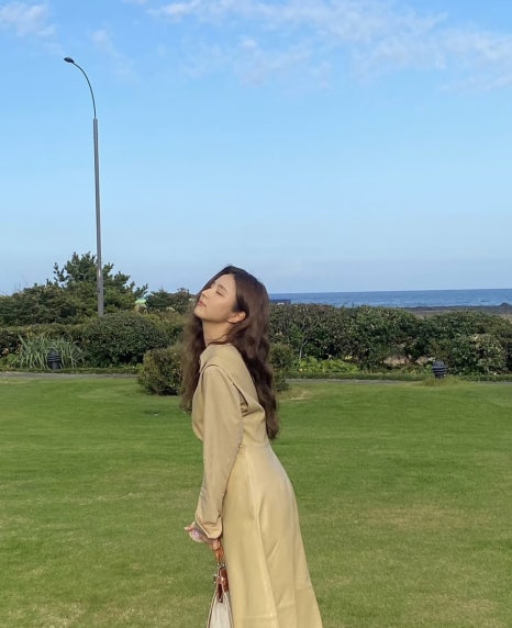 디어젤리 이미지