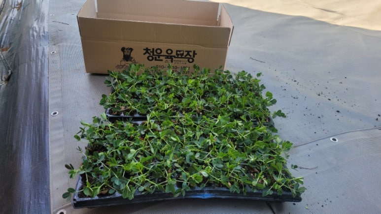 한국농약사 이미지