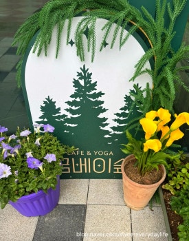 금베이숲 이미지
