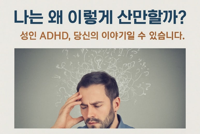 바라봄심리상담연구소 이미지
