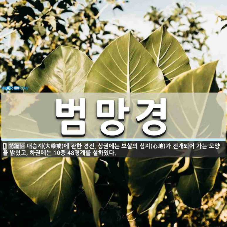 조화불교사 이미지