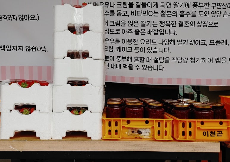 다은딸기 이미지