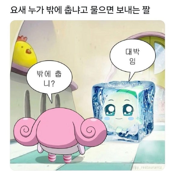 피카푸피크닉앤글램핑서울와이엠씨에이도 이미지
