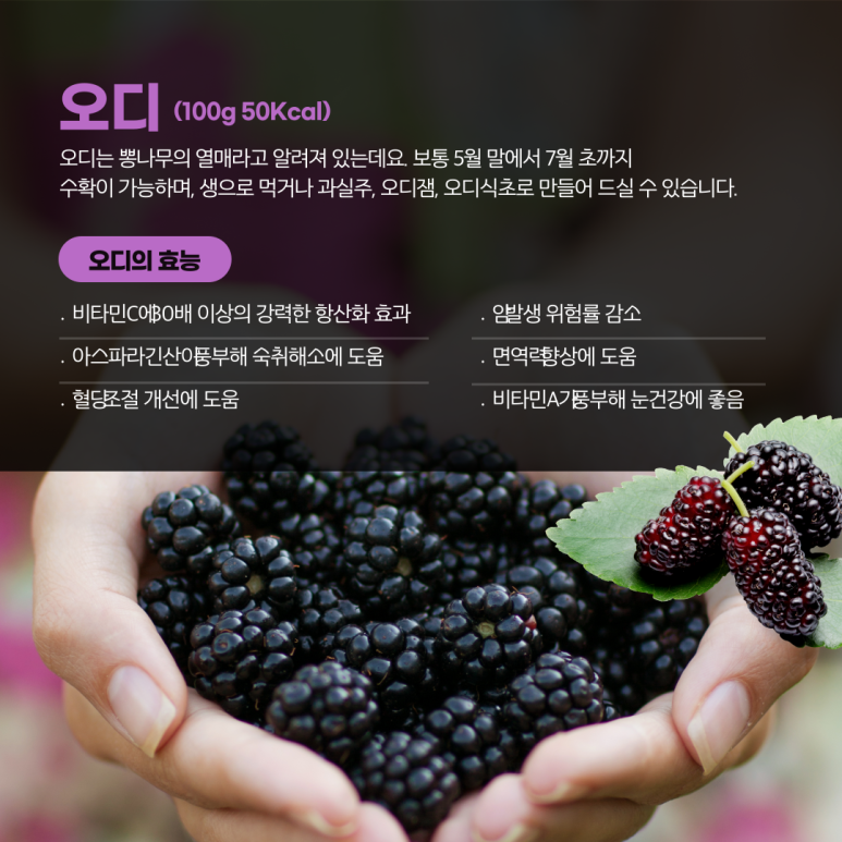 바른야채 이미지
