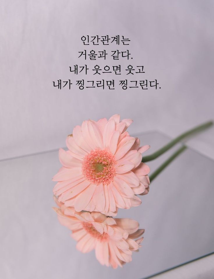 스텍 이미지