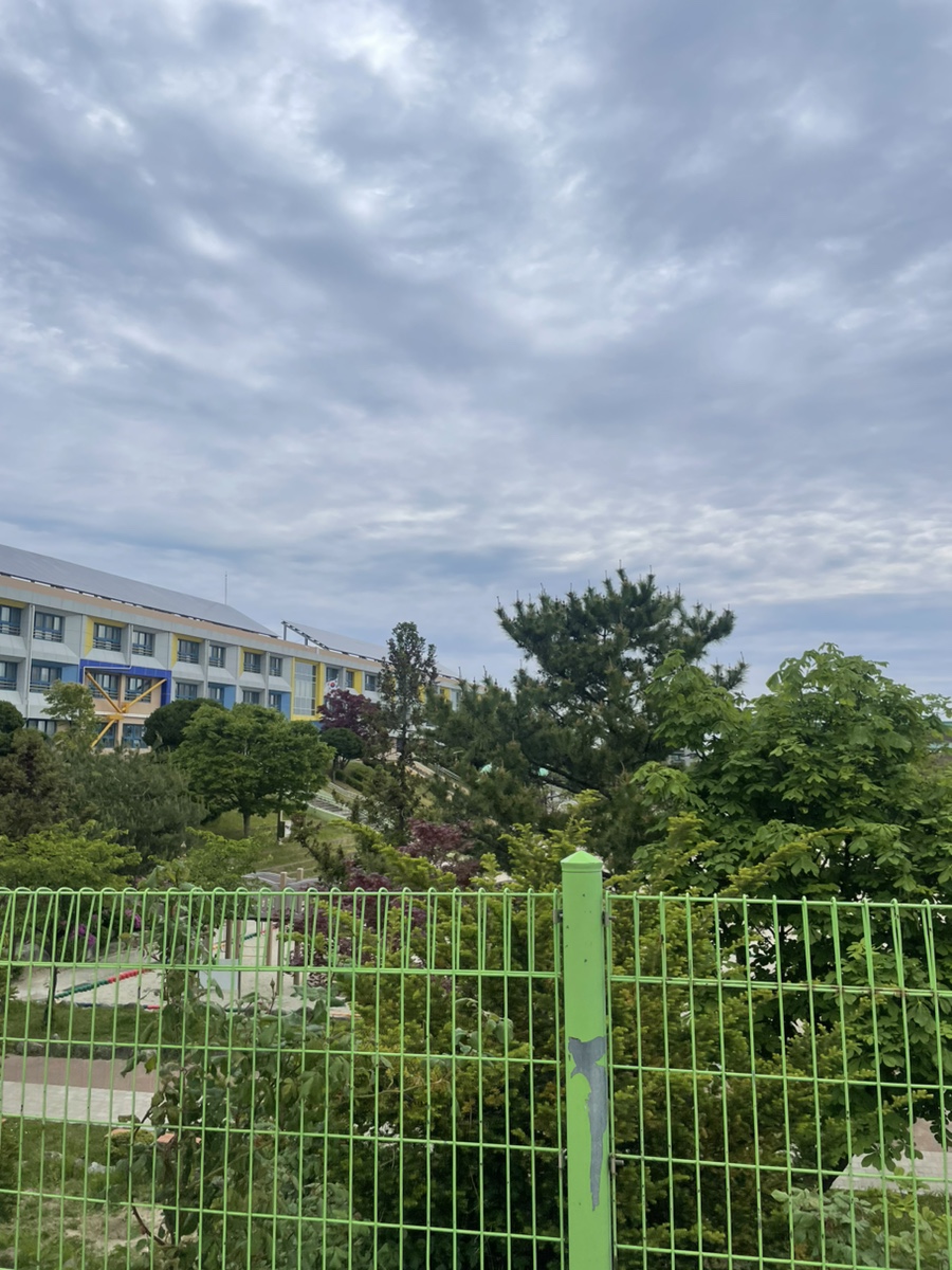 장언니손만두 이미지