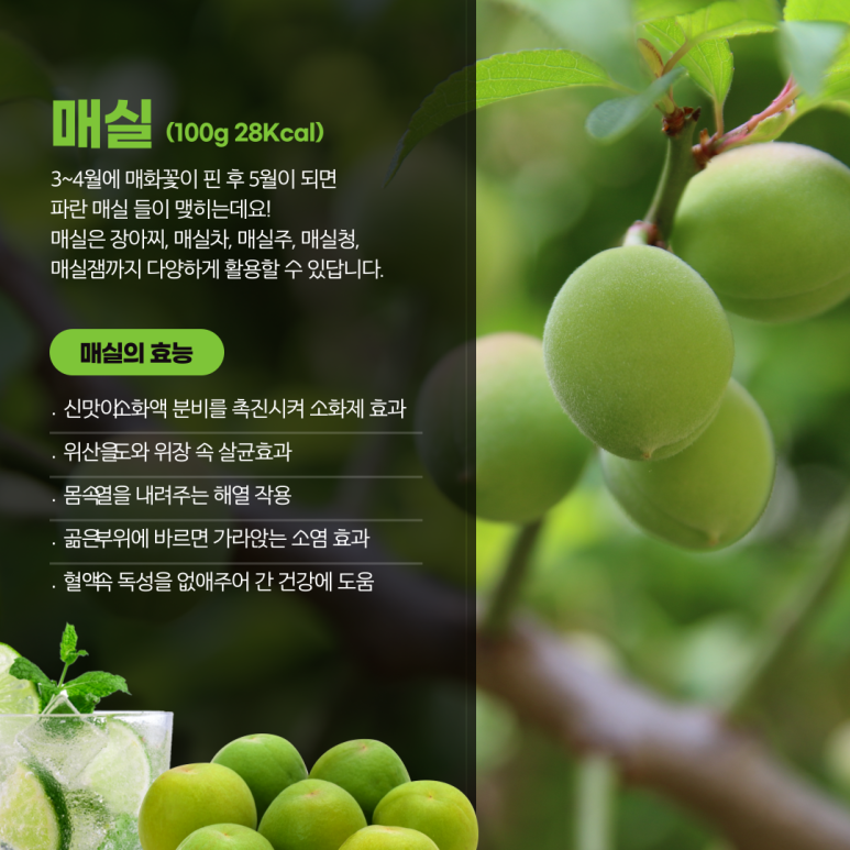 바른과일 이미지