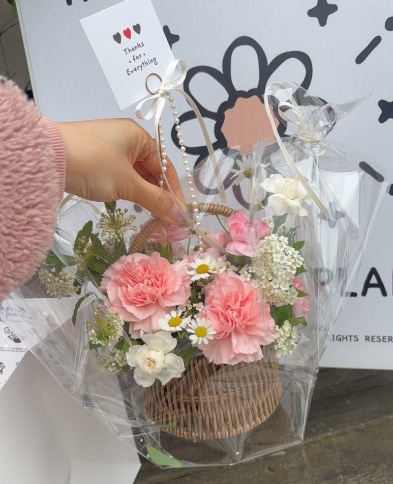 로지마이포지 이미지