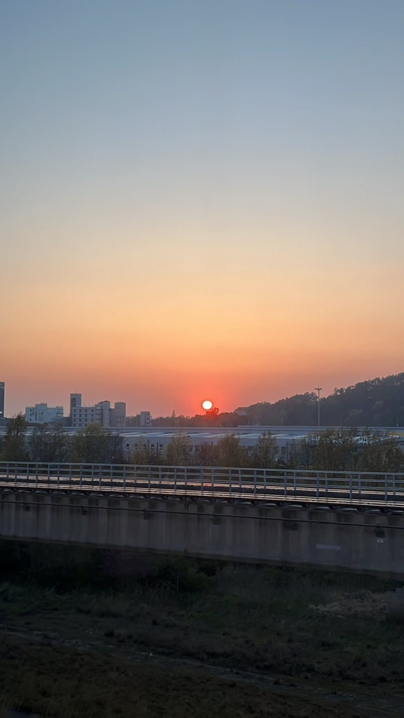 네스트온 이미지