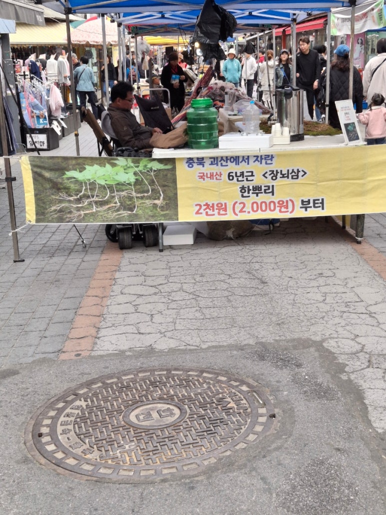 치즈품은동전빵 이미지
