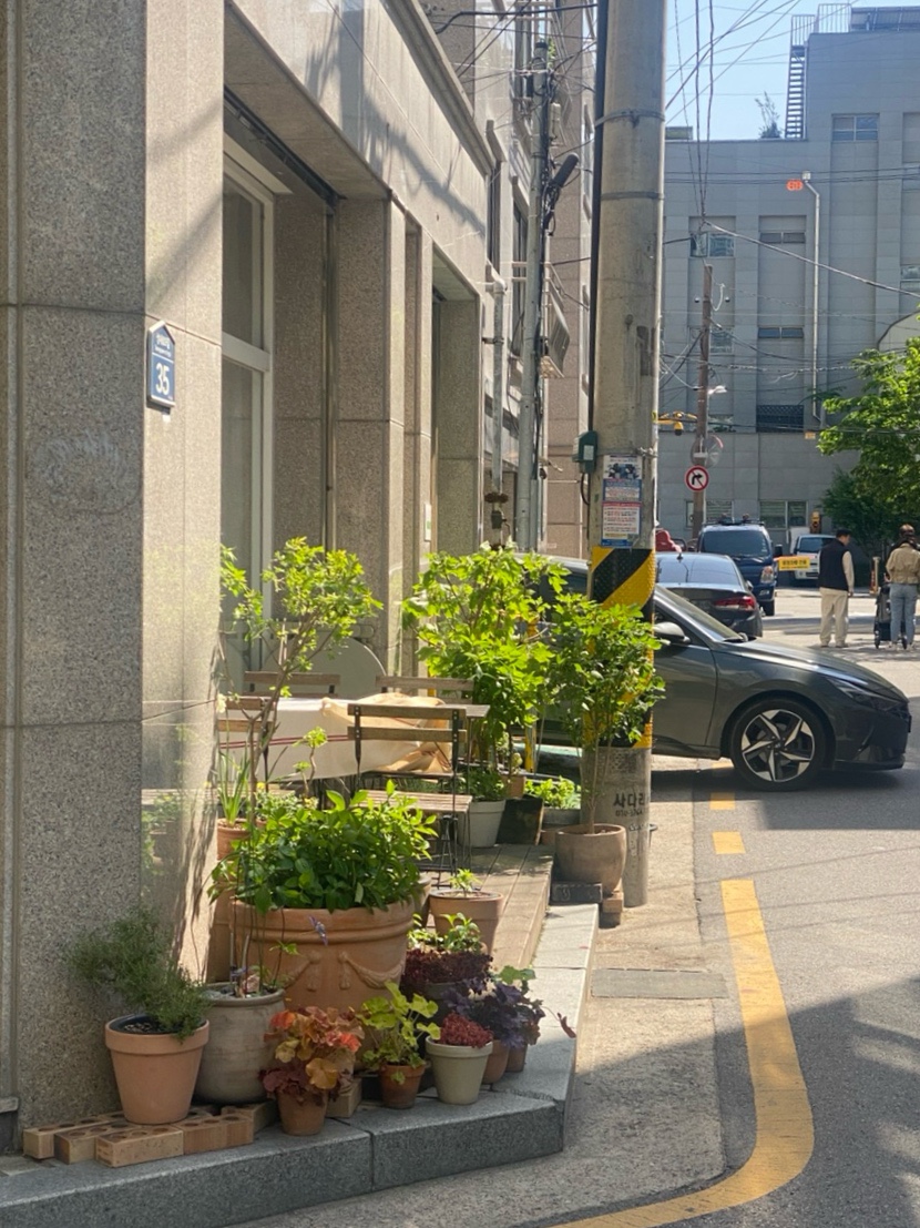 포르마레 이미지