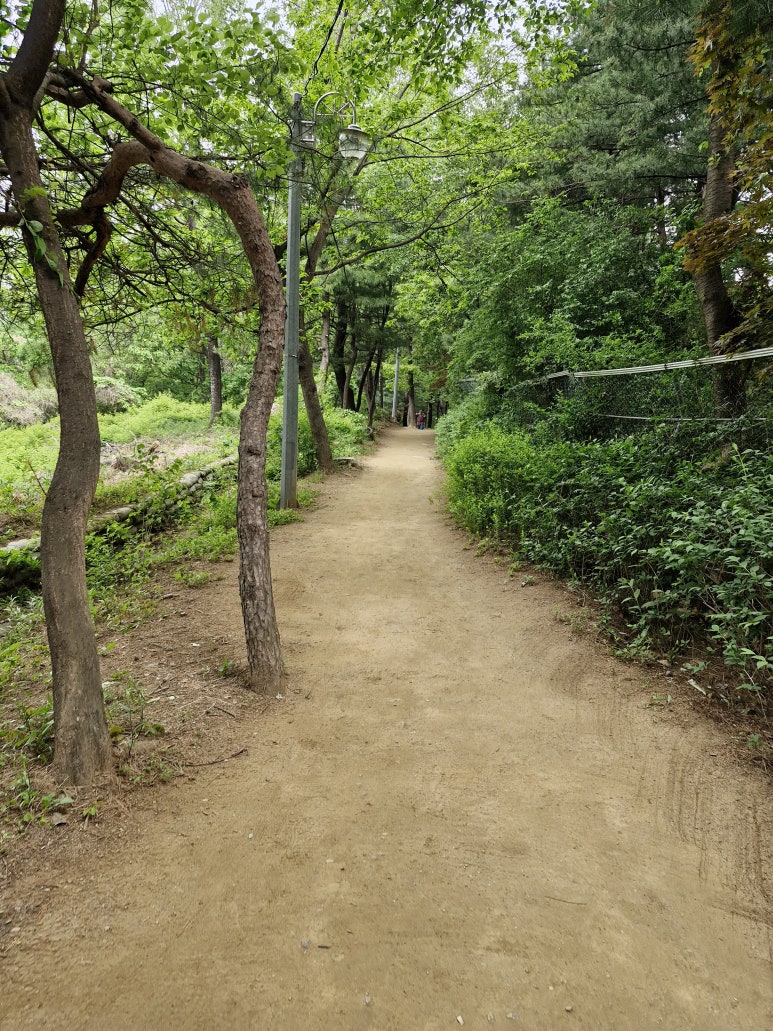 정상 조망점 이미지