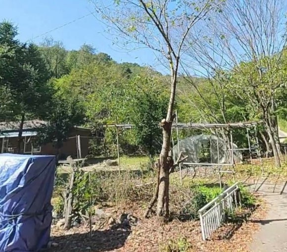 남성주IC 이미지