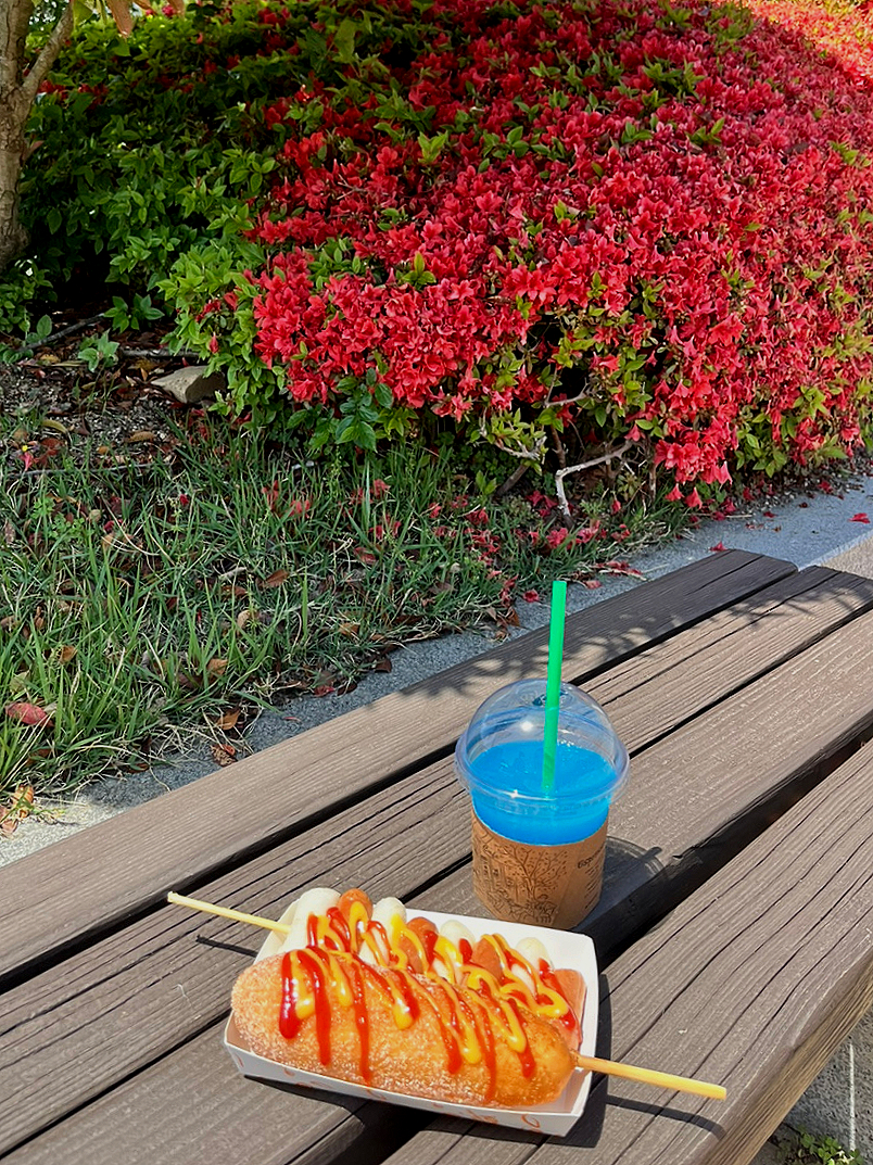 울산대공원남문식당 이미지