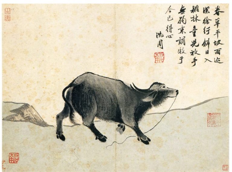 서경제화 이미지