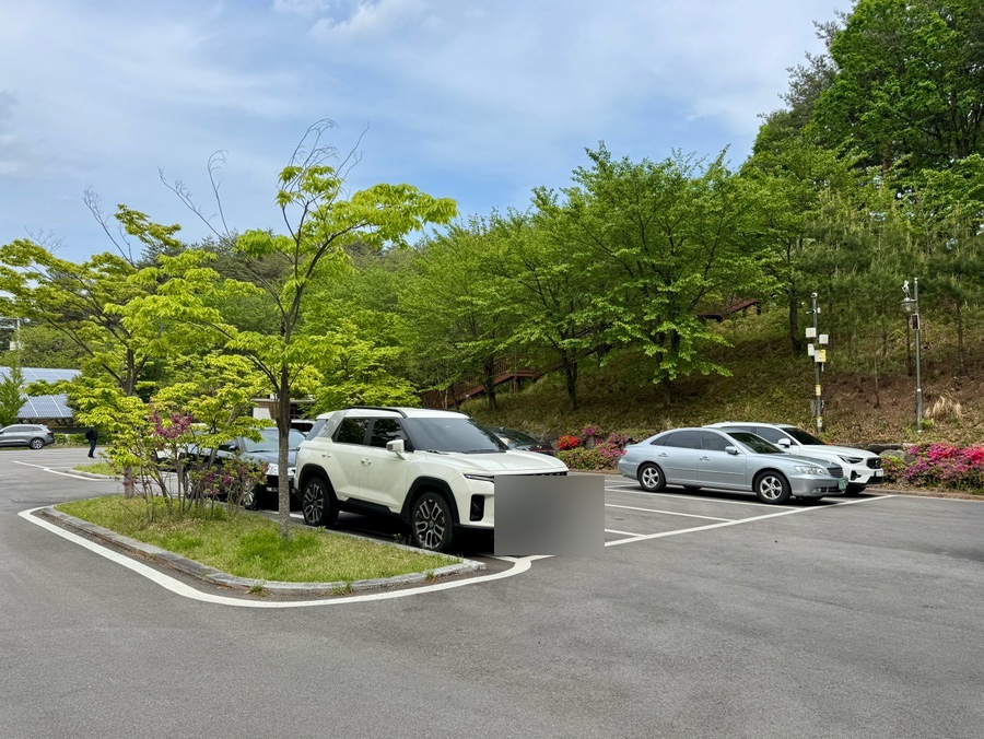 레포밸리 이미지