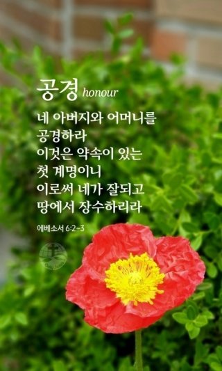 미덕 이미지