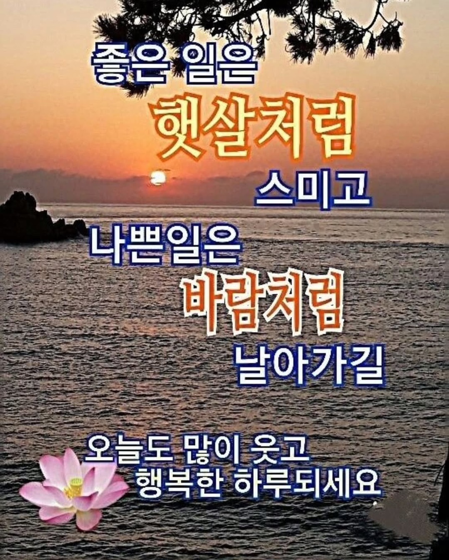 채운 이미지