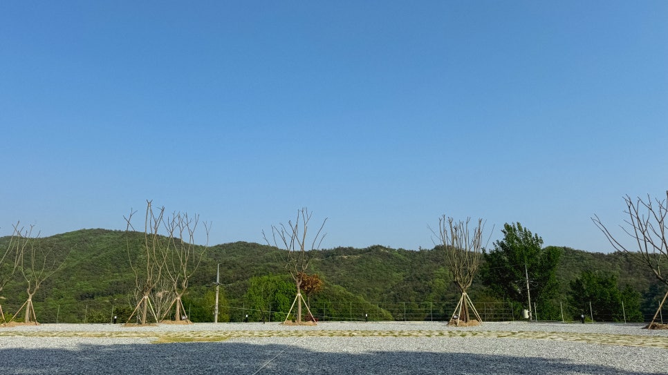 충주 알프스 캠핑장 이미지