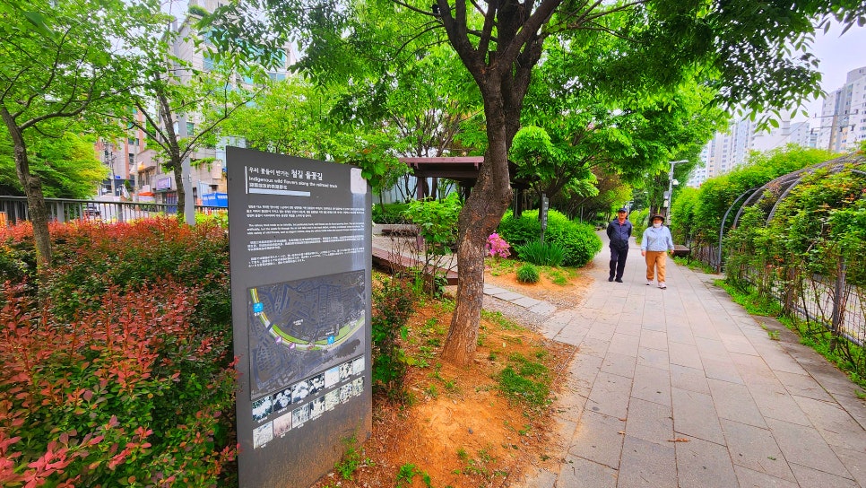 숲길 이미지