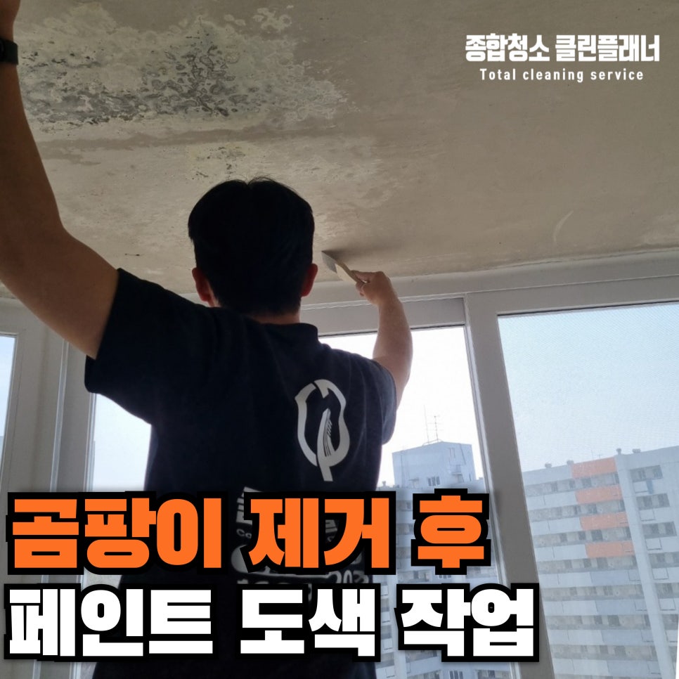클린플래너 이미지