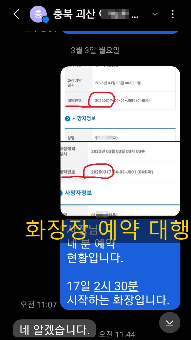 대성장묘 이미지