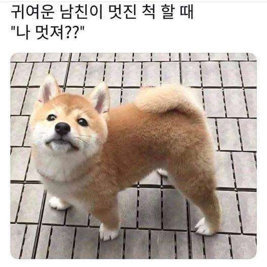 피카푸피크닉앤글램핑서울와이엠씨에이도 이미지